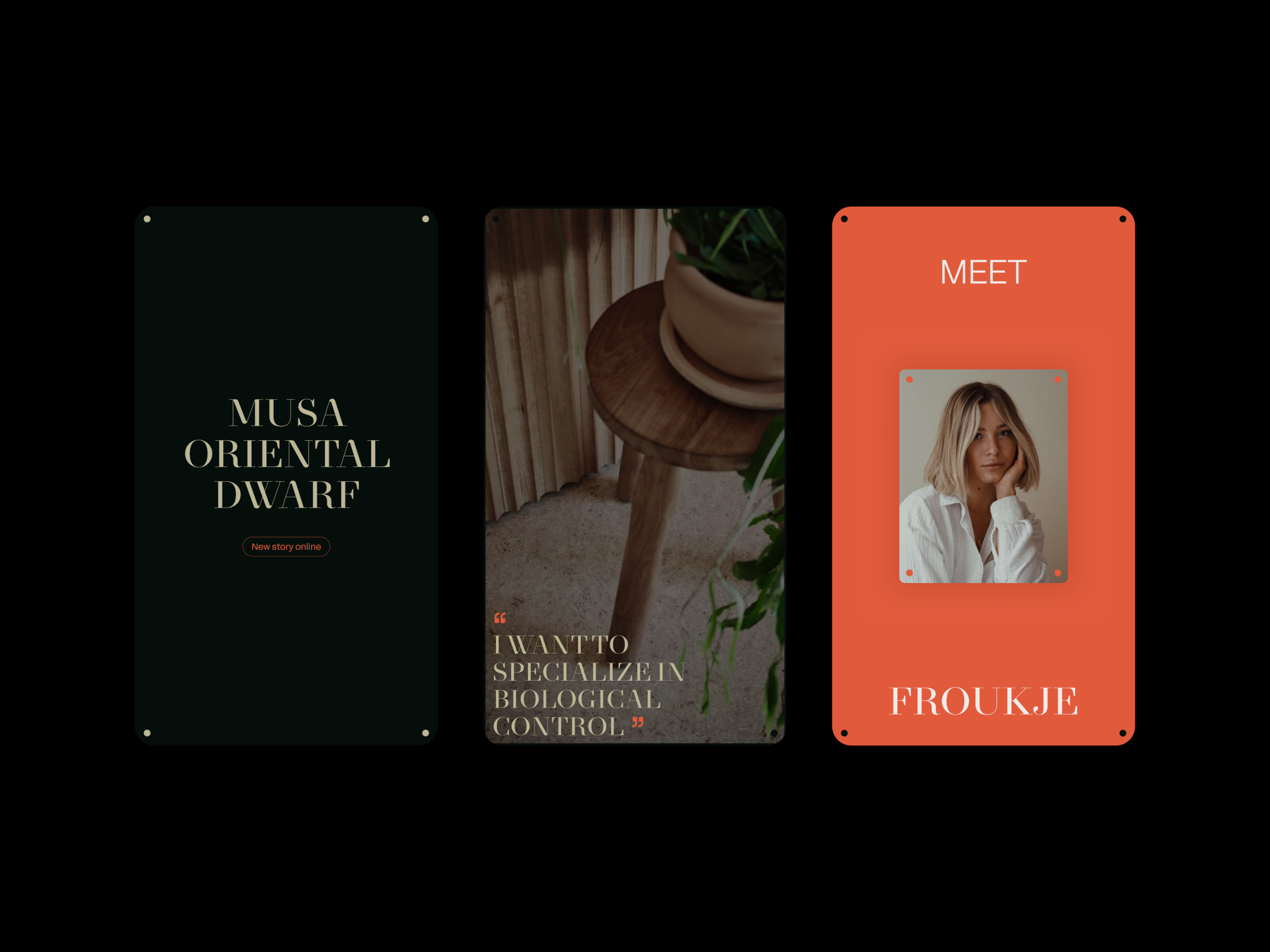 Intenz - Socials by Jos Weber for Bonana on Dribbble