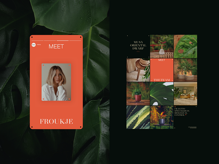 Intenz - Socials by Jos Weber for Bonana on Dribbble