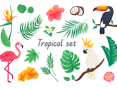 Tropical 3D Realistic Set 3d cartoon elements flamingo flat flower foliage graphic illustration island jungle nature realistic season set summer travel tropical vector web