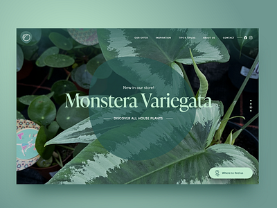 Flower shop proposal design flowers ui ux webdesign website