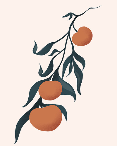 Peach design illustration