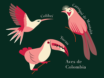 Birds of Colombia 🇨🇴 fashion fashion illustration illustration pijamas vector women