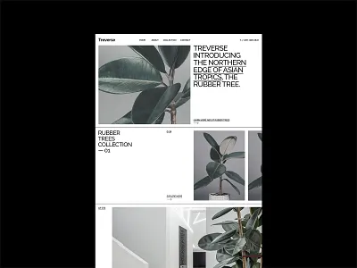 Treverse design graphic design layout typography ui ux