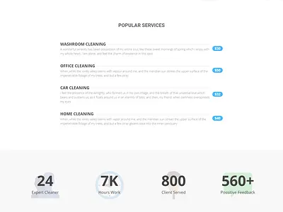 I will design the cleaning website for your business. branding design illustration logo typography ui ux vector webdesign websites