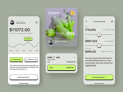 Credit Card Balance designs, themes, templates and downloadable graphic  elements on Dribbble