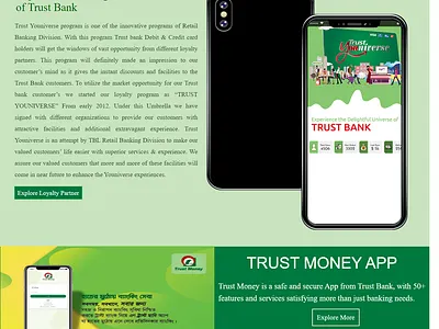 Banking website ecommerce web design web development wordpress