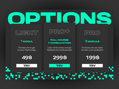 Options | Web Site | Design Price List | app branding design landing list options pixels price ui vector web