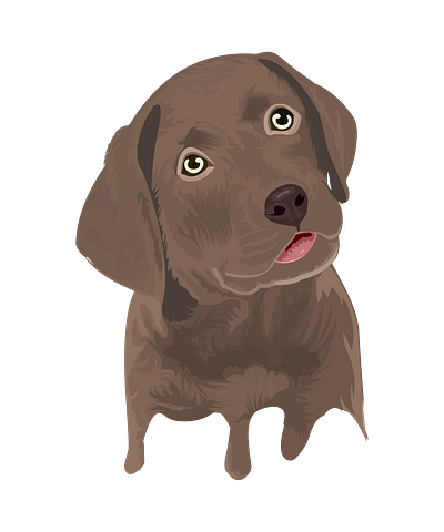 labrador puppy illustration animation graphic design illustration motion graphics vector