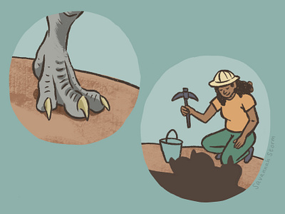Fossil Formation childrens illustration educational illustration illustration learning illustration non fiction book illustration uk illustrator