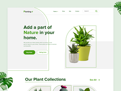 Planting - Indoor Plant Website Landing Page Header UI Design cactus care design ecommerce figma green indoor indoor plant landing page plant care plants ui ui design website