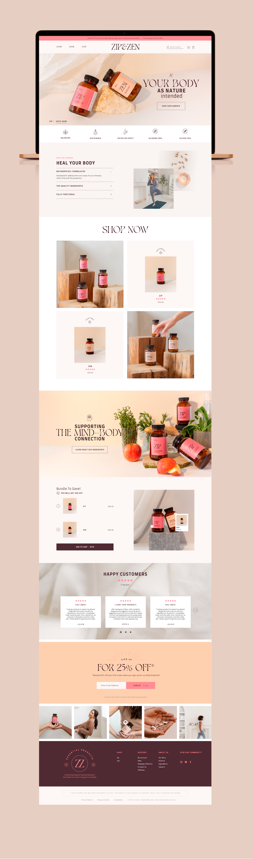 Zip & Zen Website Design branding graphic design logo ui web design website