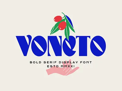 Voneto Display Font advertising branding calligraphy classy display display font elegant fashion font fonts lettering logo magazine minimal modern sans serif serif typeface typography unique