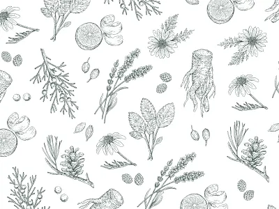 Juniper Grove Gin beverage label beverage packaging botanical botanical illustration drawing illustration ink drawing packaging pattern repeat pattern