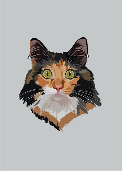 Freya art cat digitalart illustration portrait vector