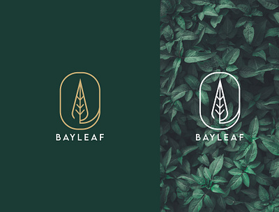 Bay Leaf Logo app icon bay bayleaf brand identity branding color design graphic design icon iconic logo lineart logo logo design minimal minimal logo