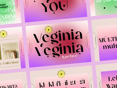 Veginia - Stylish Font alternates font beautiful typeface branding branding typeface display font display typeface elegant typeface feminine typeface font luxury font modern font modern typeface type design typography