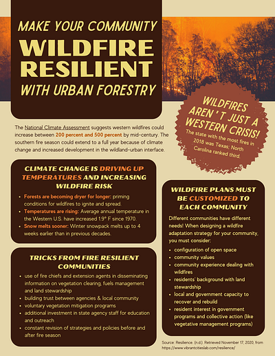 Wildfire Resilience Poster brochure canva graphic design infographic poster sustainability