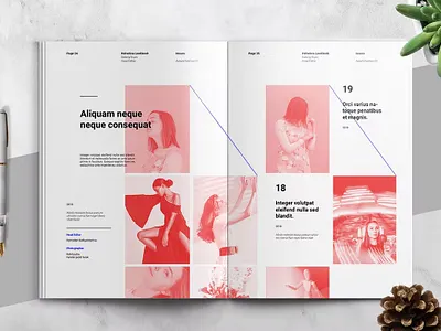 Lookbook / Catalog Template a4 art catalog catalog design catalog template clean creative design editorial exhibition layout layout design letter lookbook lookbook design lookbook template minimalist modern simple template