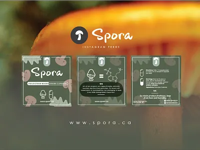 Instagram Feeds Idea Spora by SSUVVISUAL 3d animation app branding design graphic design icon illustration logo motion graphics typography ui ux vector