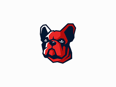 Red Pied French Bulldog designs, themes, templates and downloadable graphic  elements on Dribbble