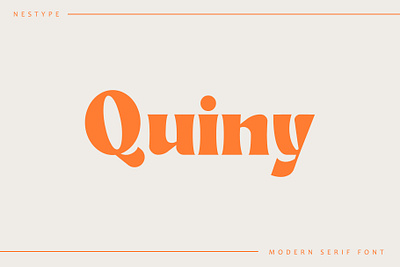 Quiny branding display display font dribbble font font logo quiny sans typography typography display typography font