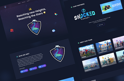 Gaming organization Landing Page UI UX Design darkui design figma gaming landingpage ui ux webdesign website