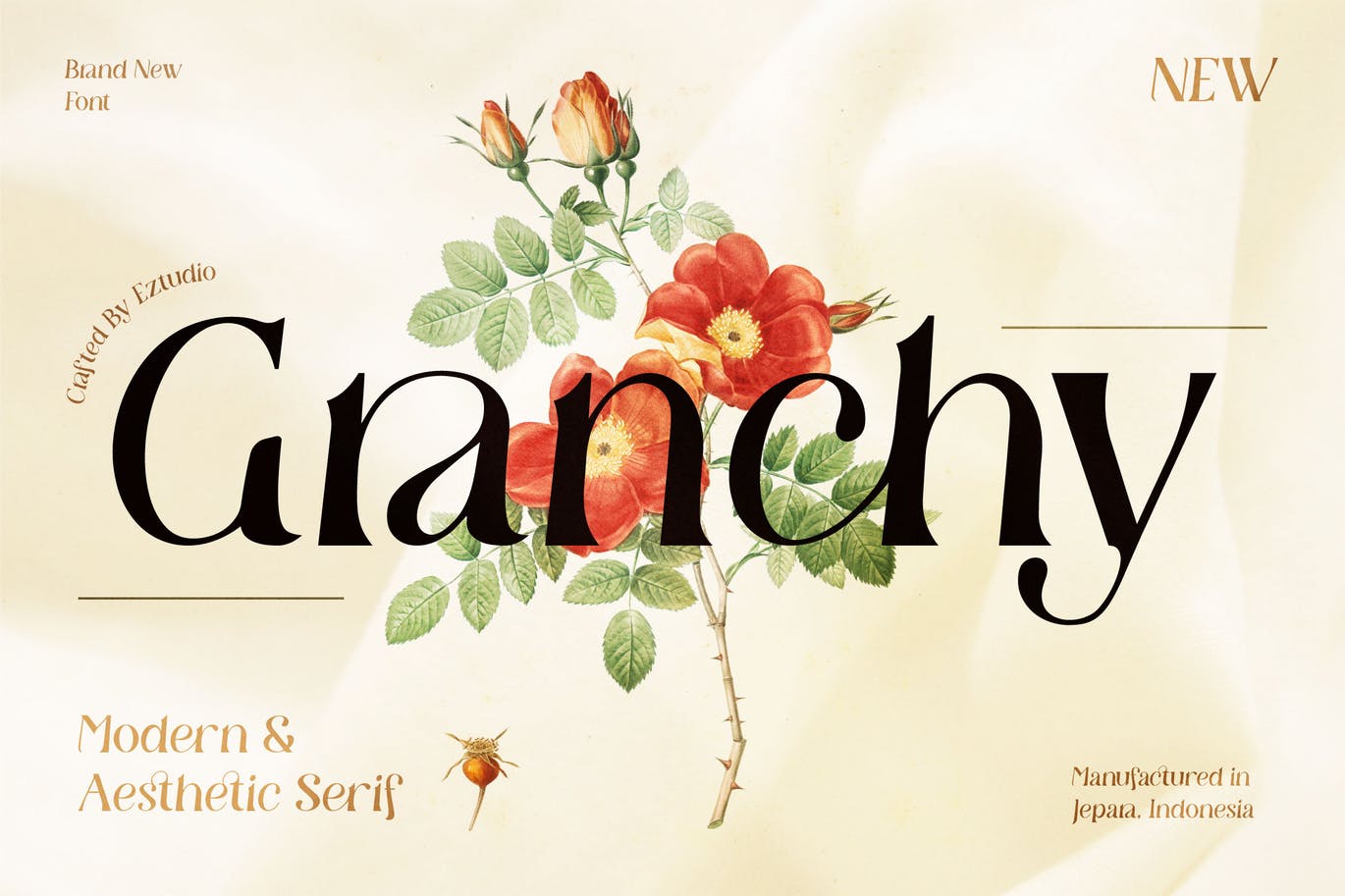Granncy Font aesthetic app branding design display font graphic design illustration logo playful retro serif typeface typography ui ux vector