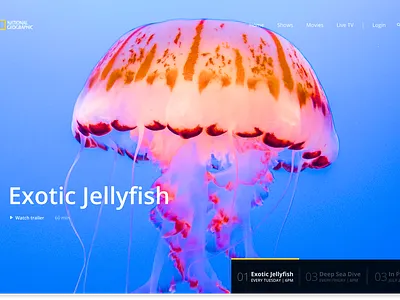 National Geographic animation design illustration ui