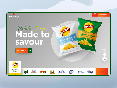 Propack LP crisps design illustration minimal design minimalism ui ui design uidesign ux ux design web