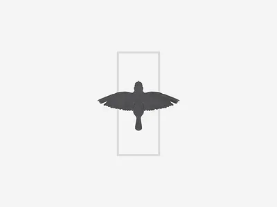 Bird design illustration vector
