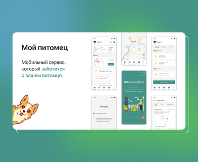 Pet care app - diploma project app design mobile pet ui ux