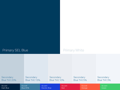 SEL Color Palette blue branding color color palette in house pms 302