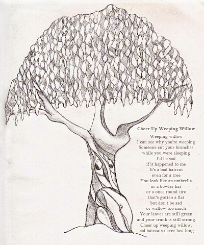 Weeping Willow illustration