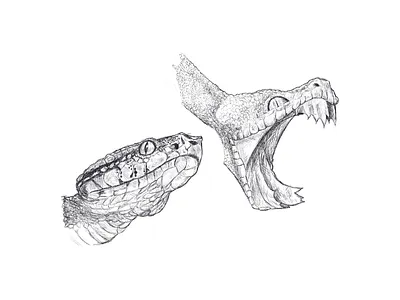 Medusa Snakes artists clip studio illustration medusa pencil drawing snake snakes