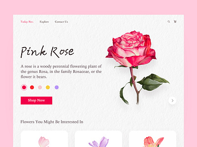 Flower Delivery app flowers illustration mobile rose ui web