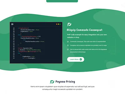 PayNow (Payment Ecosystms for B2B and B2C) branding creative design graphic design home page ui webdesign website