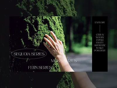 MOSS black clean composition design green layout minimalist modern modern typography nature perfume photo serif typography web