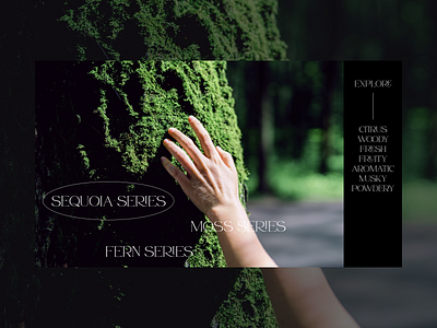 MOSS black clean composition design green layout minimalist modern modern typography nature perfume photo serif typography web