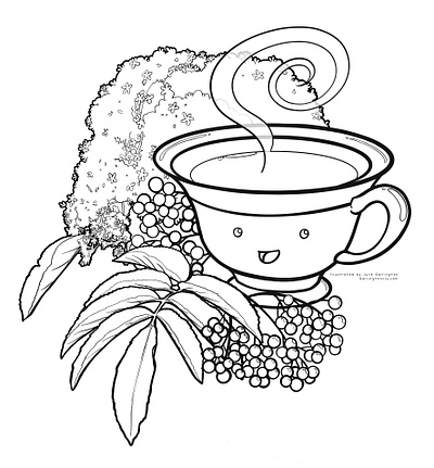 Elderberry tea line art illustration art book botanical cartoon childrens coloring colouring design illustration line art nature plants
