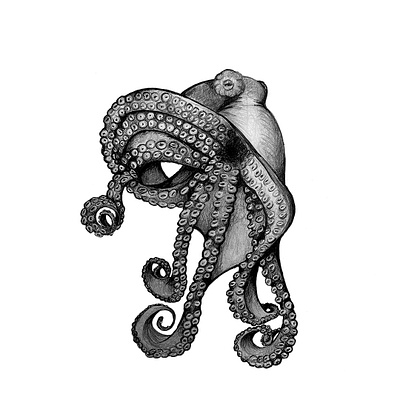 Octupus BW animal blakandwhite drawing handdrawn inking octopus