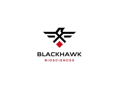 BlackHawk animal clever design eagle hawk iconic logo logodesign minimalist minimalistic
