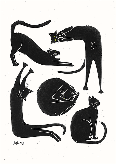Black Cats cats illustration minimalist