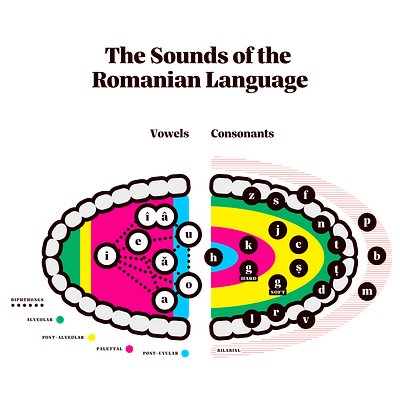 The Sounds of the Romanian Language graphic design infographics language linguistics phonology romanian