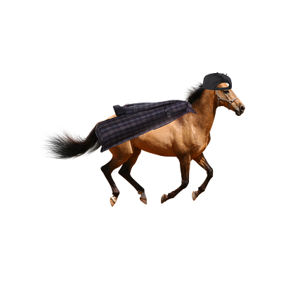 Hay Mamas 3d animation art branding design graphic design horse lesbian logo modern motion graphics nature queer