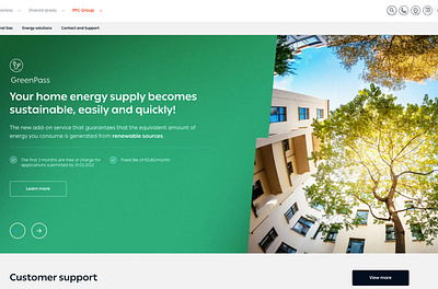PPC (Public Power Company) Ltd. interaction design ui design ux ux design web design