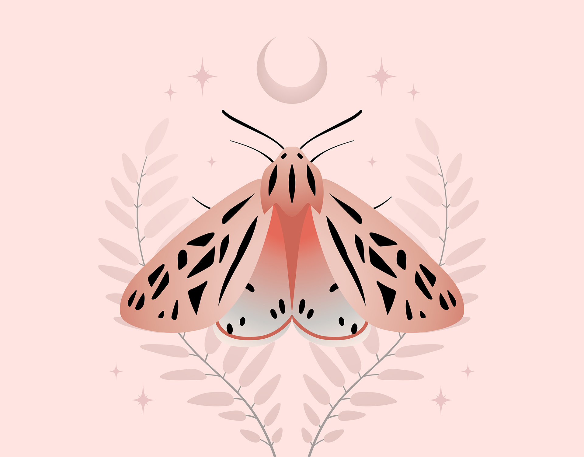 Celestial pink moth aesthetic art bohemian boho butterfly design digital art digital illustration graphic design illustration moth pink