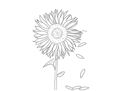 Stand with Ukraine black and white design drawing illustration petals simple sunflower ukraine