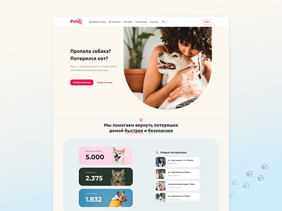 Petsi design graphic design ui ux web