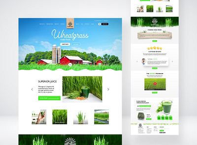 Mount Home Farms UX/UI Design (proposal 1) adobe design ui ux uxui