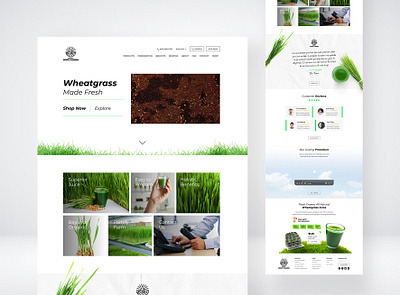 Mount Home Farms UX/UI Design (proposal 2) adobe design ui ux uxui uxuidesign